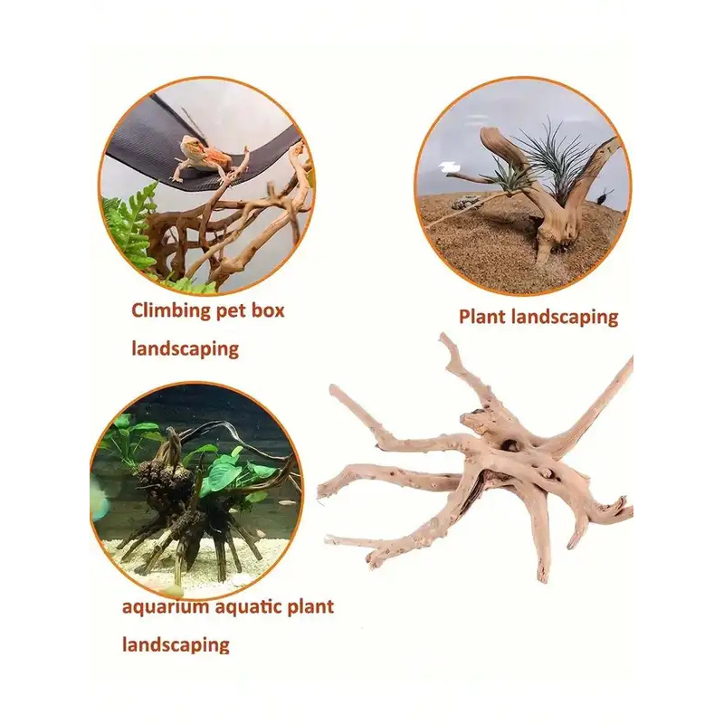 Natural Driftwood for Aquarium - Marine Aquarium For Sale ulasan dan harga