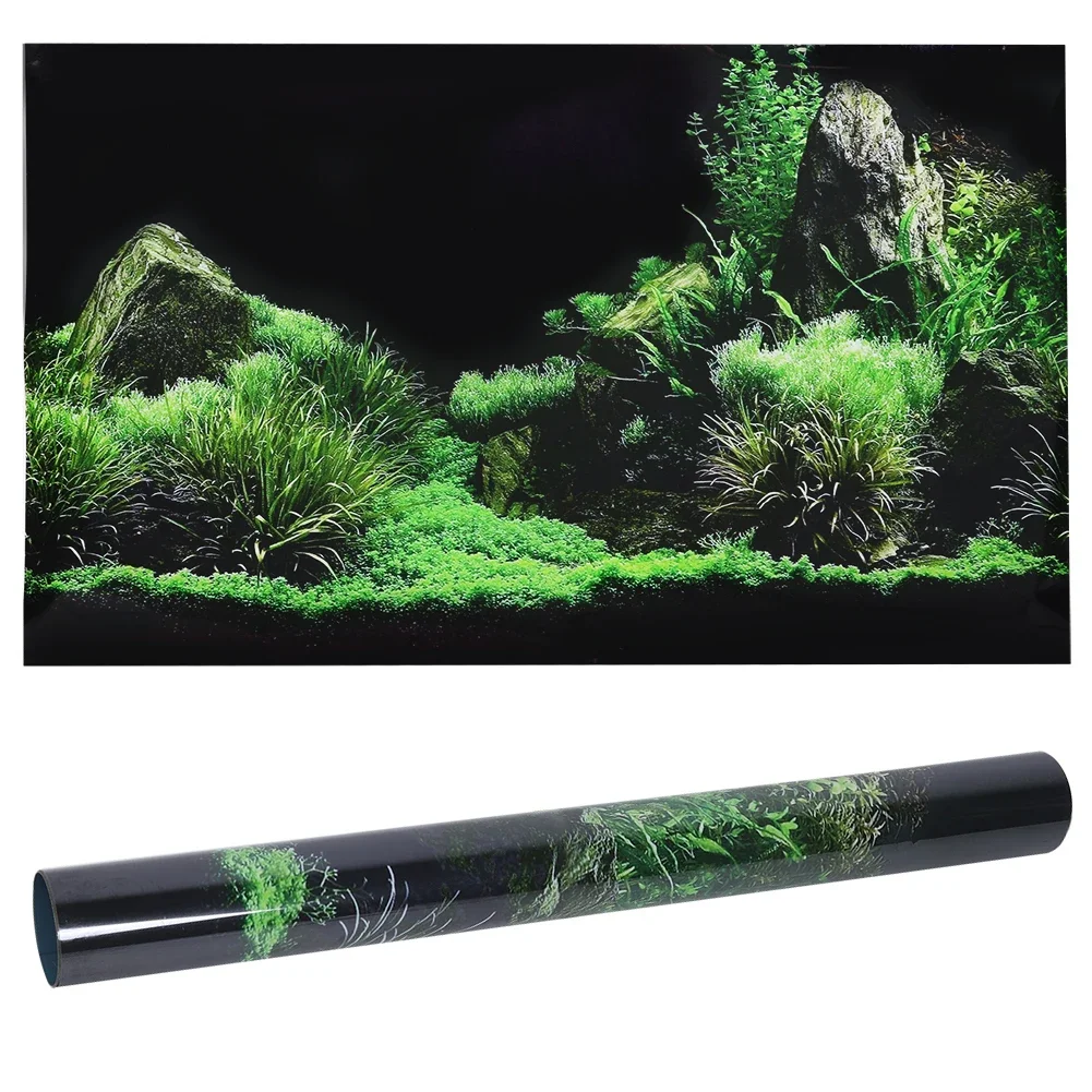 Background for Aquarium 3d Sti - Marine Aquarium For Sale ulasan dan harga