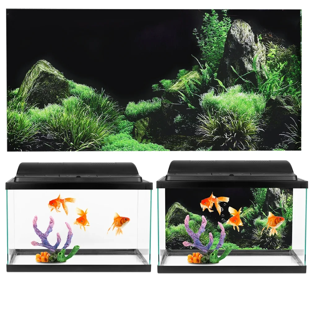 Background for Aquarium 3d Sti - Marine Aquarium For Sale ulasan dan harga