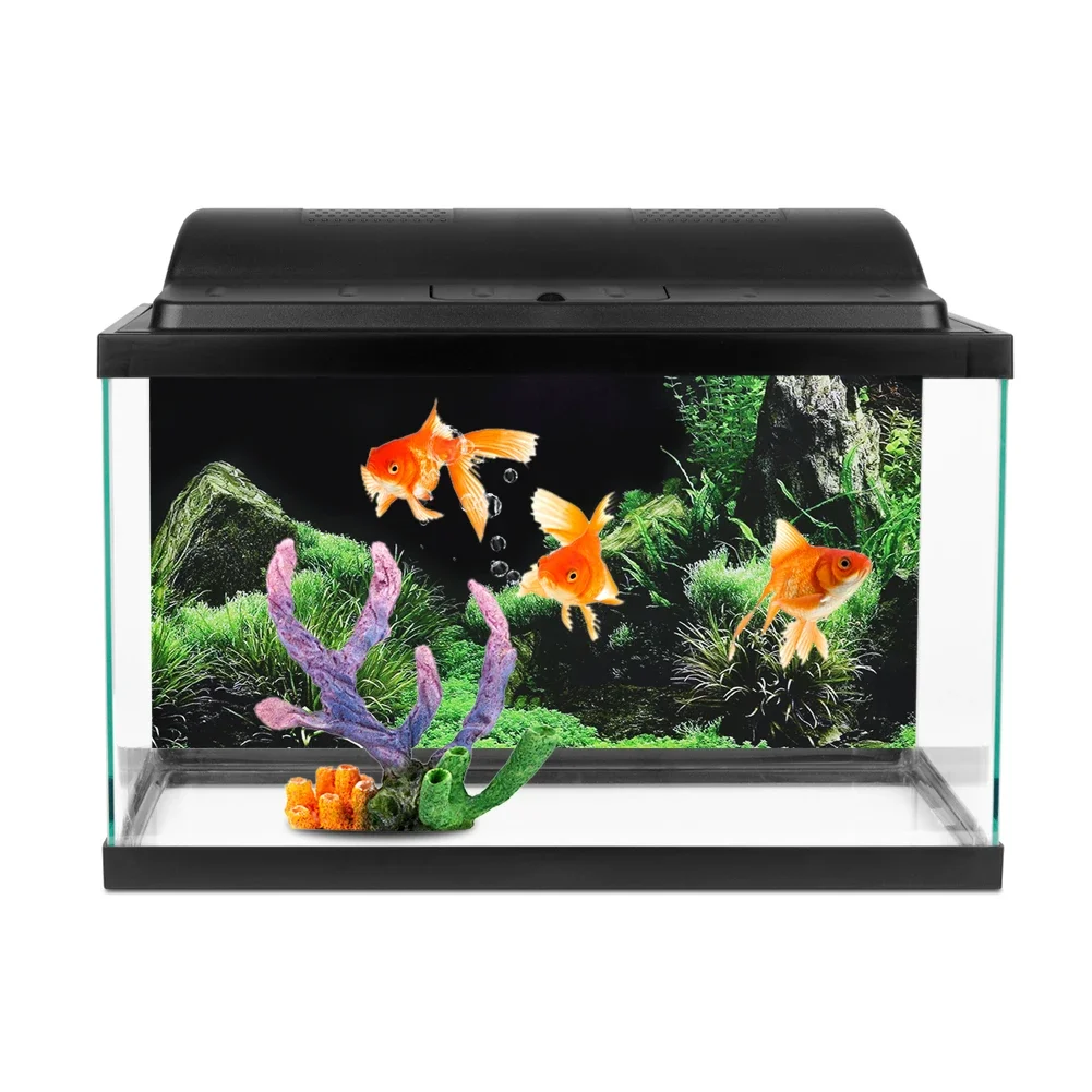 Background for Aquarium 3d Sti - Marine Aquarium For Sale ulasan dan harga