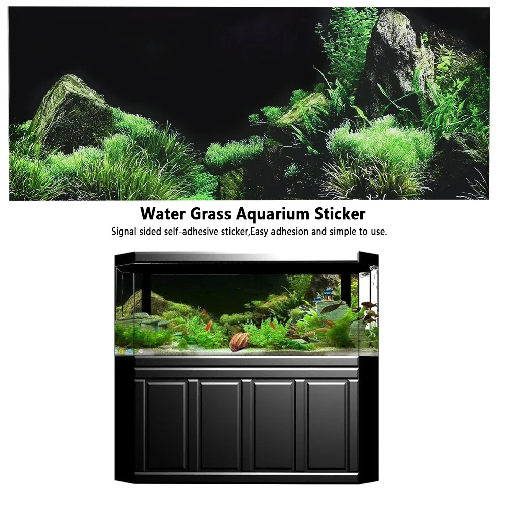Background for Aquarium 3d Sti - Marine Aquarium For Sale ulasan dan harga