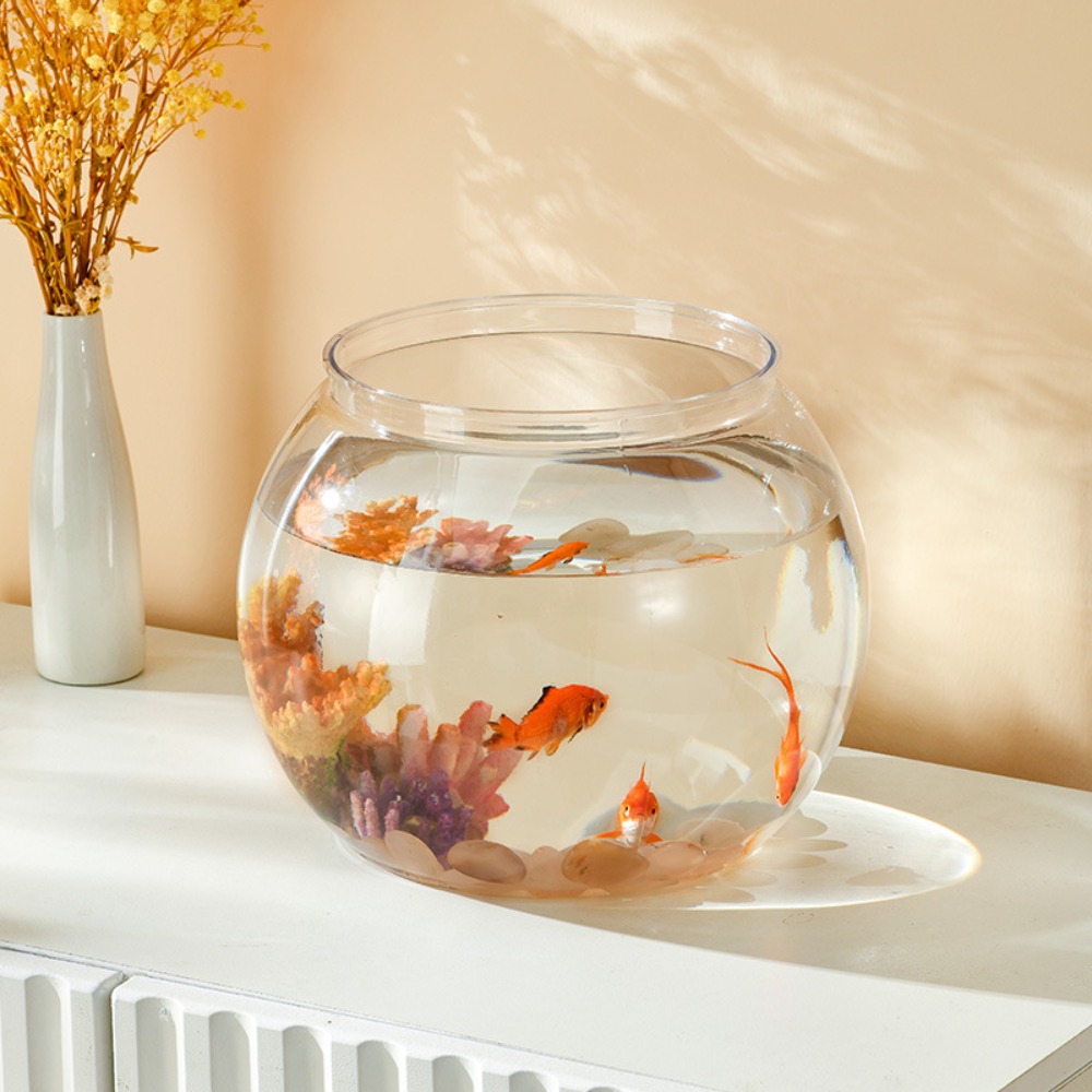 Home Decor Clear Transparent R - Marine Aquarium Live ulasan dan harga