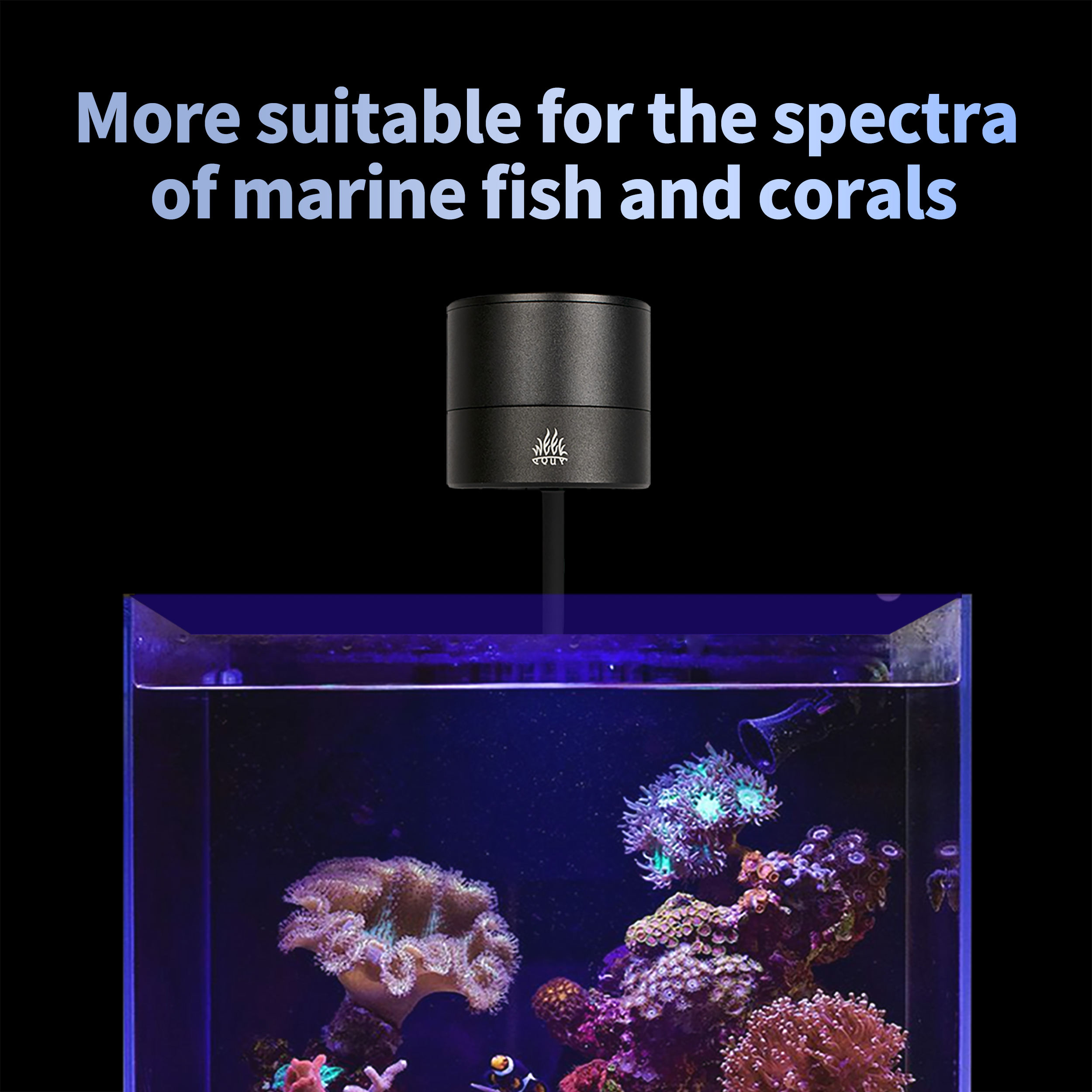 T95 Sea 50W Full Spectrum Mari - Marine Aquarium Timing ulasan dan harga