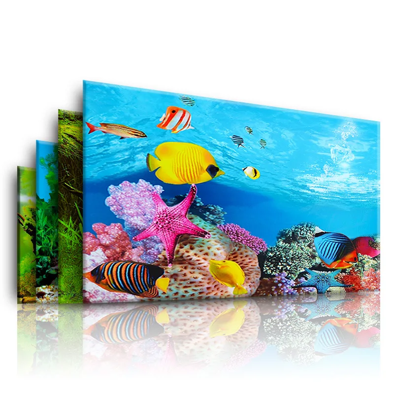 Background for Aquarium 3d  St - Marine Aquarium For Sale ulasan dan harga