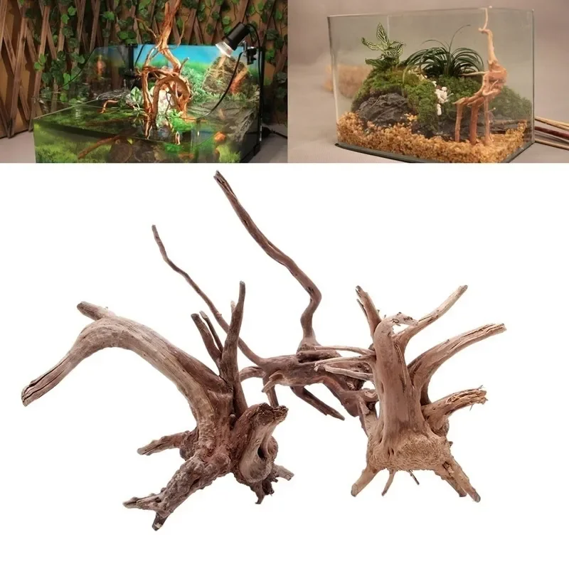 Natural Tree Trunk Driftwood A - Marine Aquarium For Sale ulasan dan harga
