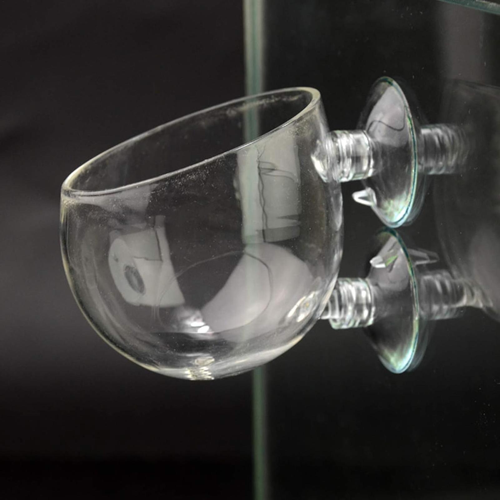 Aquarium Plant Holder Glass Aq - Marine Aquarium Live ulasan dan harga