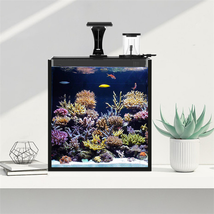 skynuo Ultra Clear Glass Mini  - Marine Aquarium In Clearwater ulasan dan harga