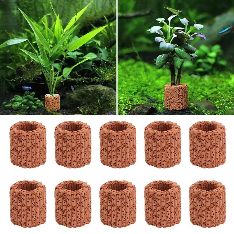 Aquatic Plant Fixed Ring for A - Marine Aquarium For Sale ulasan dan harga