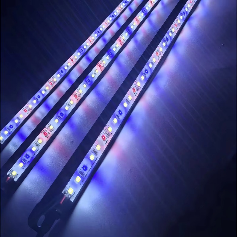 IP68 Waterproof LED Aquarium L - Aquarium Blue Marine Reef ulasan dan harga