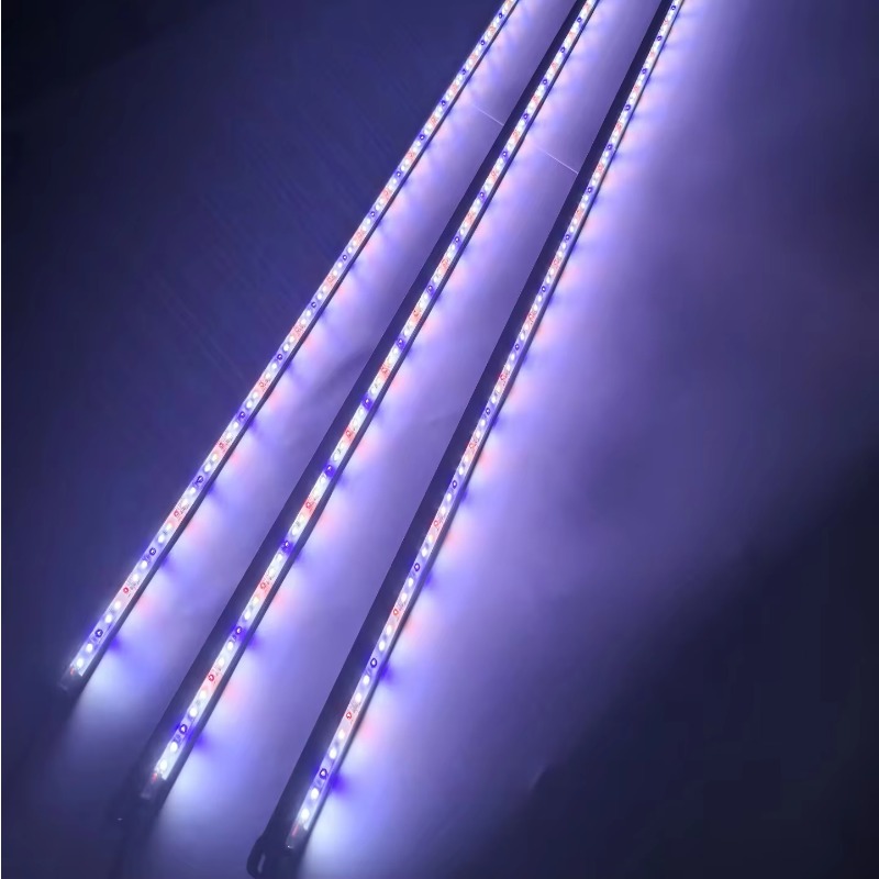 IP68 Waterproof LED Aquarium L - Aquarium Blue Marine Reef ulasan dan harga