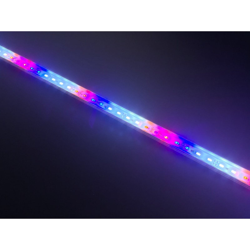 IP68 Waterproof LED Aquarium L - Aquarium Blue Marine Reef ulasan dan harga