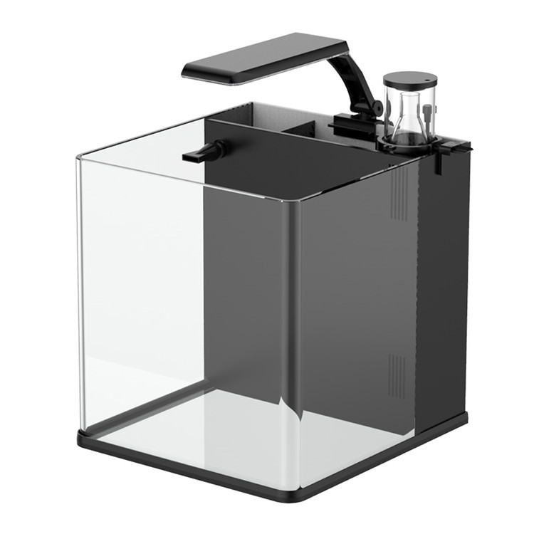 Latest Model Clear Glass Mini  - Marine Aquarium In Clearwater ulasan dan harga