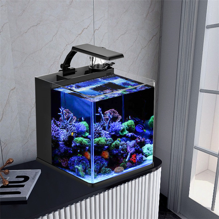 Latest Model Clear Glass Mini  - Marine Aquarium In Clearwater ulasan dan harga
