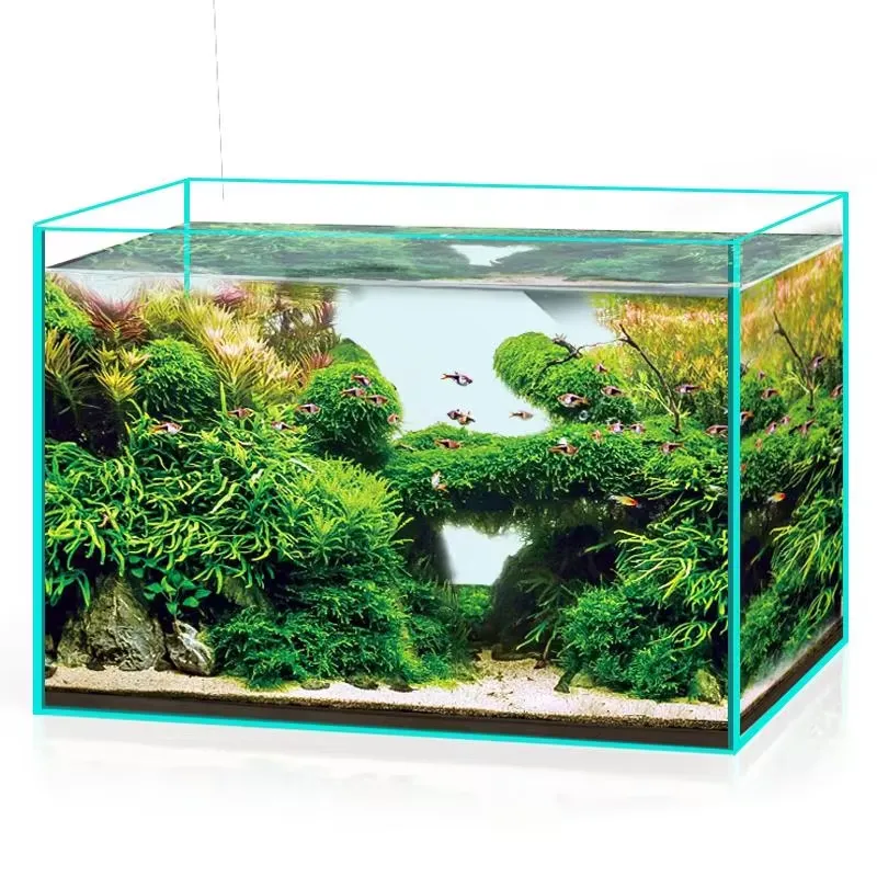 Ultra Clear Glass Aquarium Fis - Marine Aquarium In Clearwater ulasan dan harga