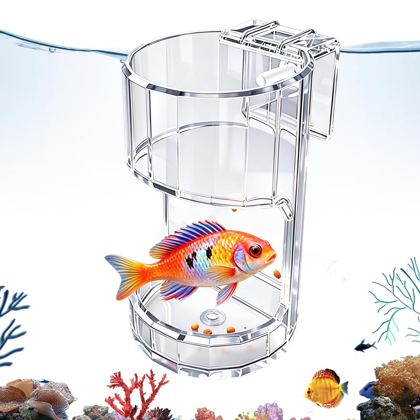 Aquarium Feeding Dish Transpar - Marine Aquarium Live ulasan dan harga