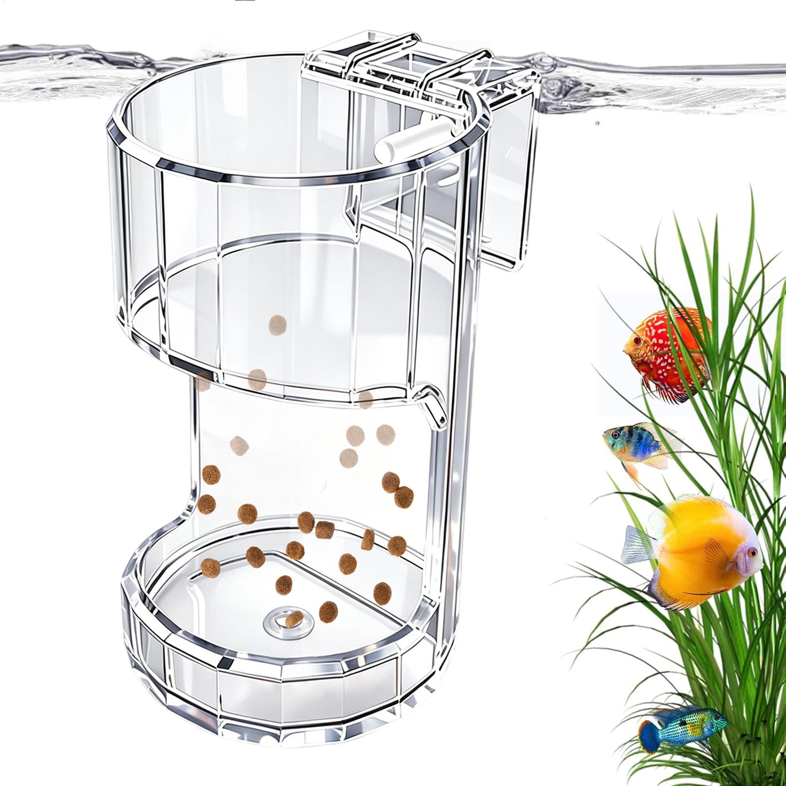 Aquarium Feeding Dish Transpar - Marine Aquarium Live ulasan dan harga