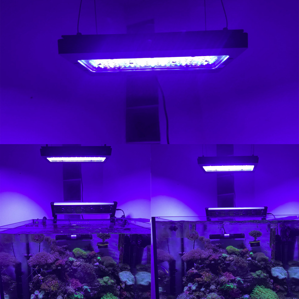 A8se Pro III MAX Blue 240W Mar - Aquarium Blue Marine Reef ulasan dan harga
