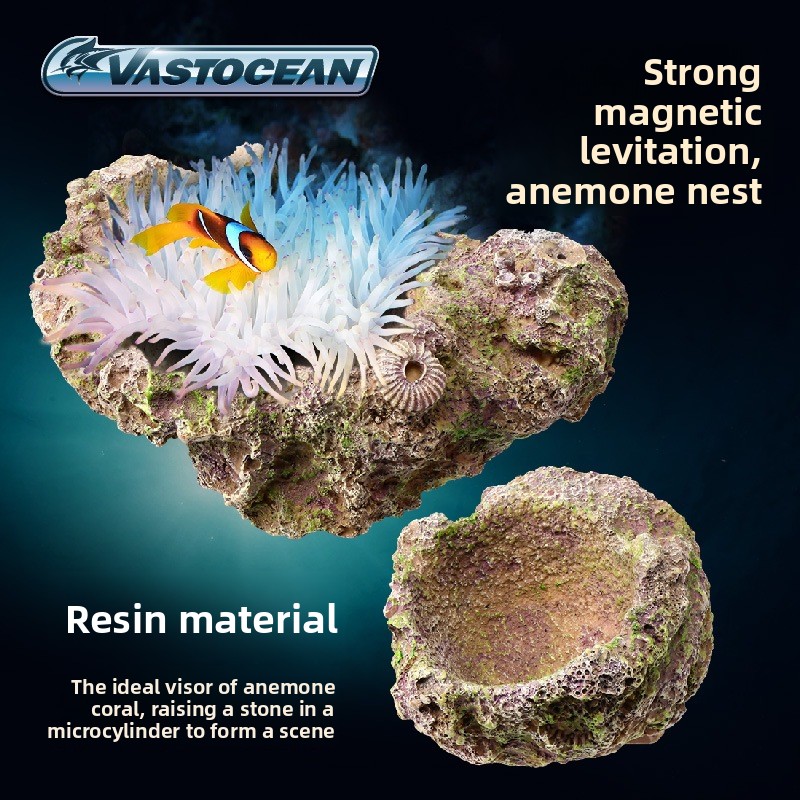 VASTOCEAN Magnetic Anemone Hol - Coral Frag Plug ulasan dan harga