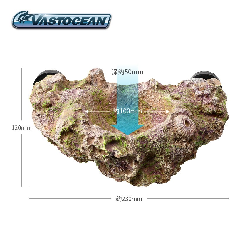 VASTOCEAN Magnetic Anemone Hol - Coral Frag Plug ulasan dan harga