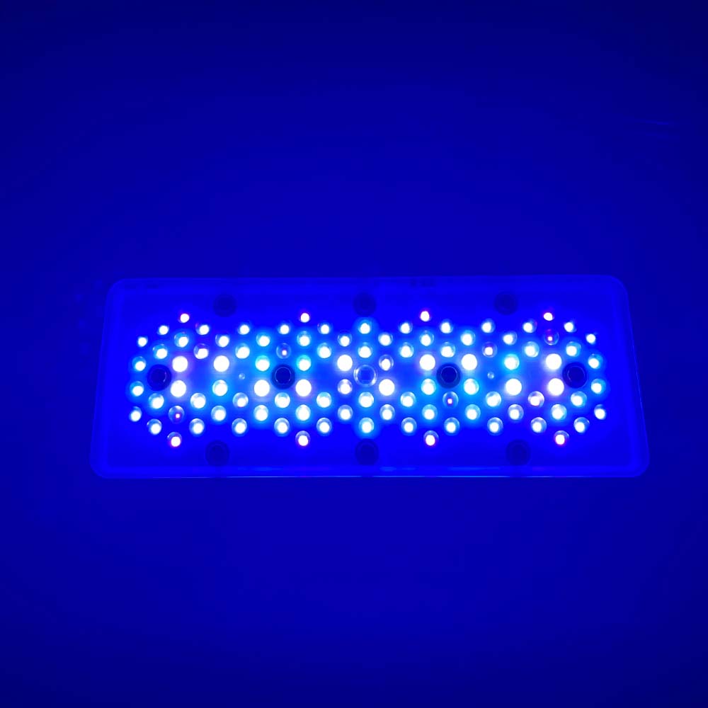A8se A8PRO III BLUE 240W Marin - Aquarium Blue Marine Reef ulasan dan harga