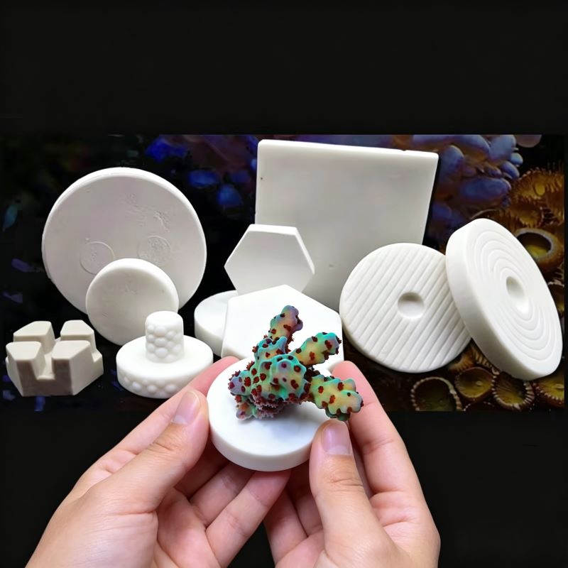 SPS Ceramic Coral Frag Plugs B - Coral Frag Plug ulasan dan harga