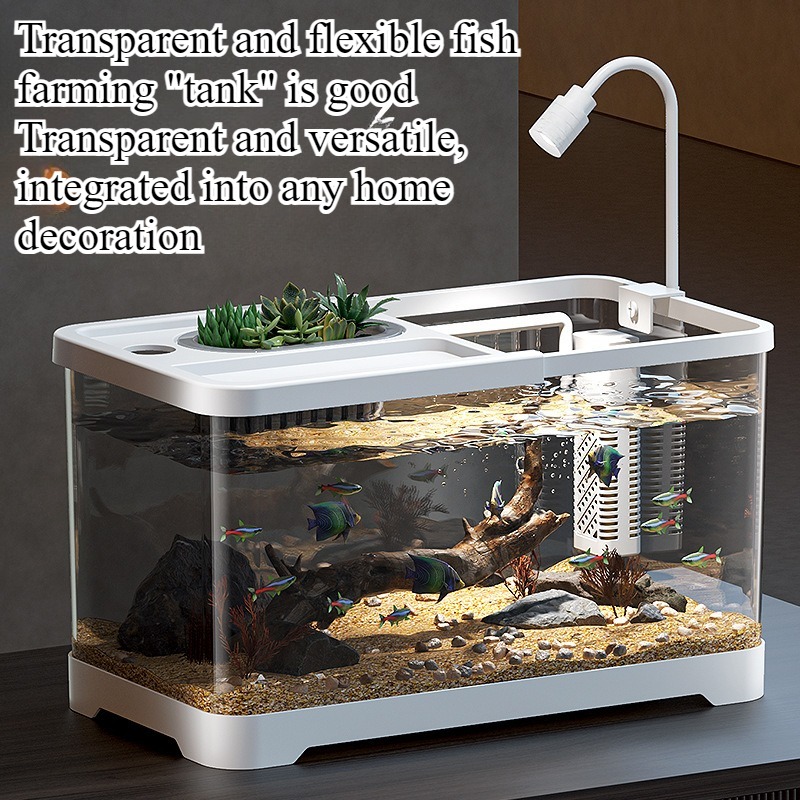 Fish tank household aquarium l - Marine Aquarium Live ulasan dan harga