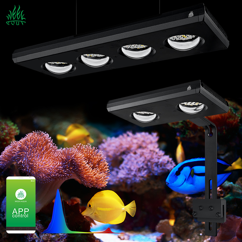 ZXY Hot Sale WEEKAQUA Z250 Z40 - Aquarium Blue Marine Reef ulasan dan harga