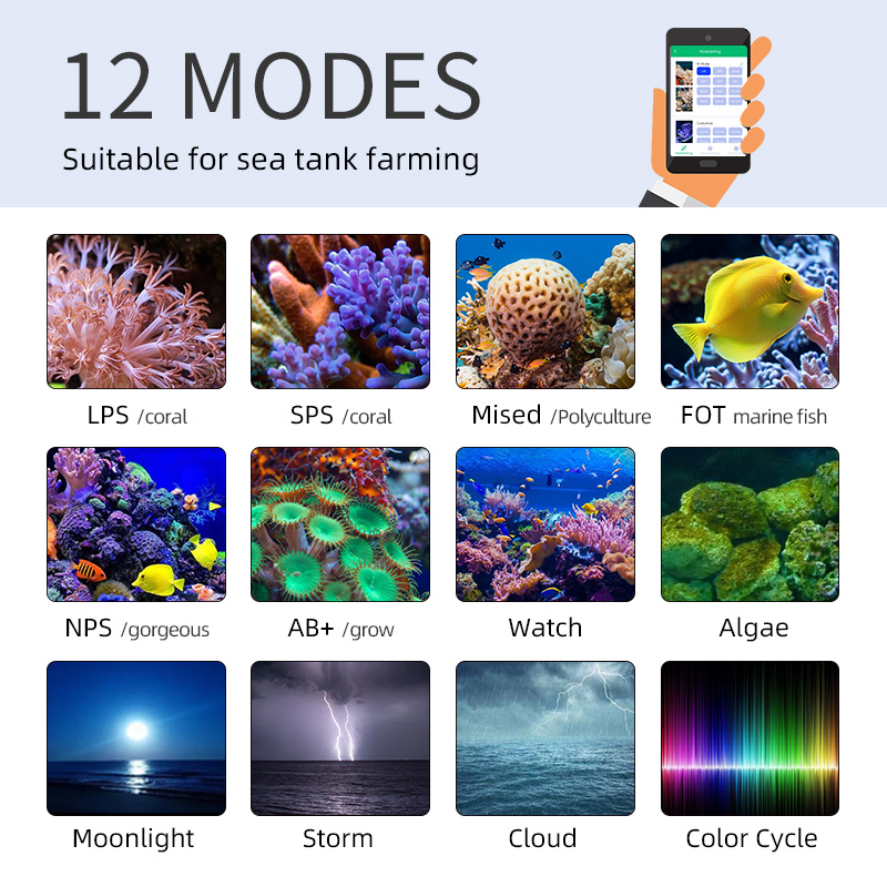 ZXY Hot Sale WEEKAQUA Z250 Z40 - Aquarium Blue Marine Reef ulasan dan harga