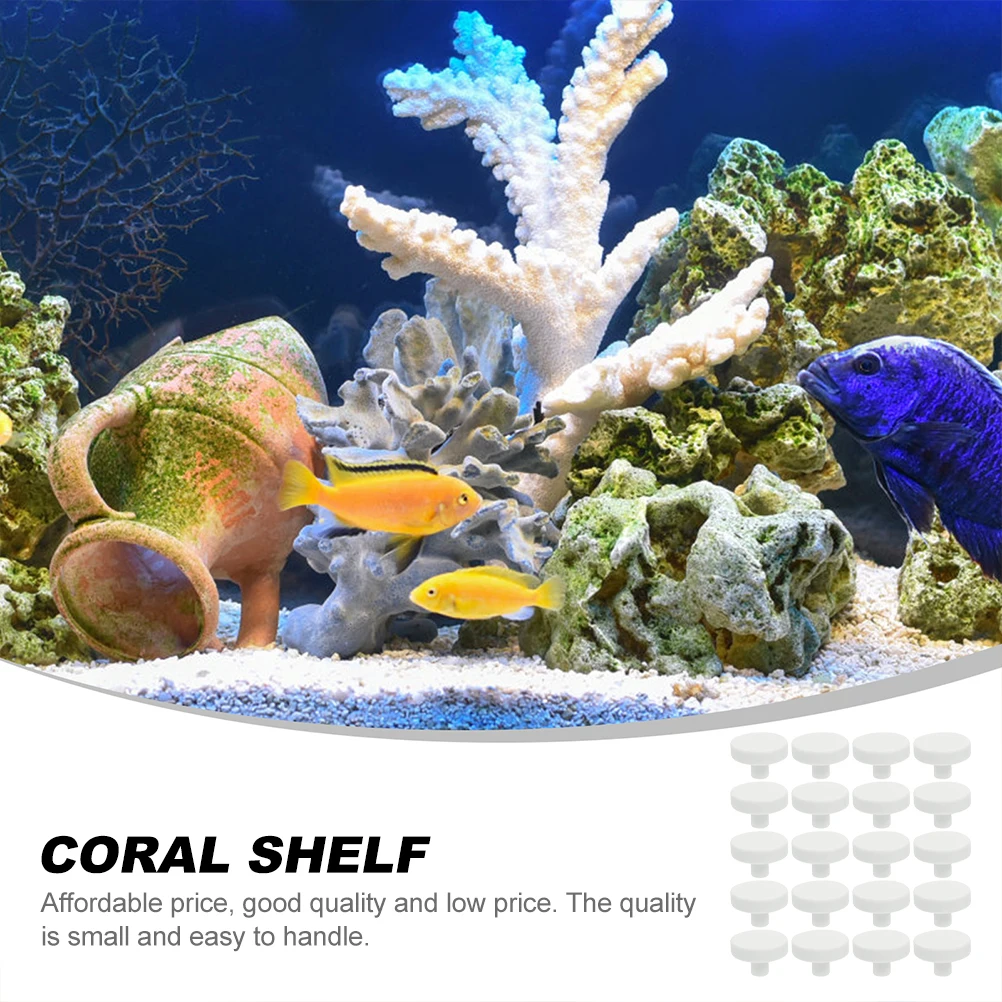 20Pcs Coral Glue Reef Safe Cor - Coral Frag Plug ulasan dan harga
