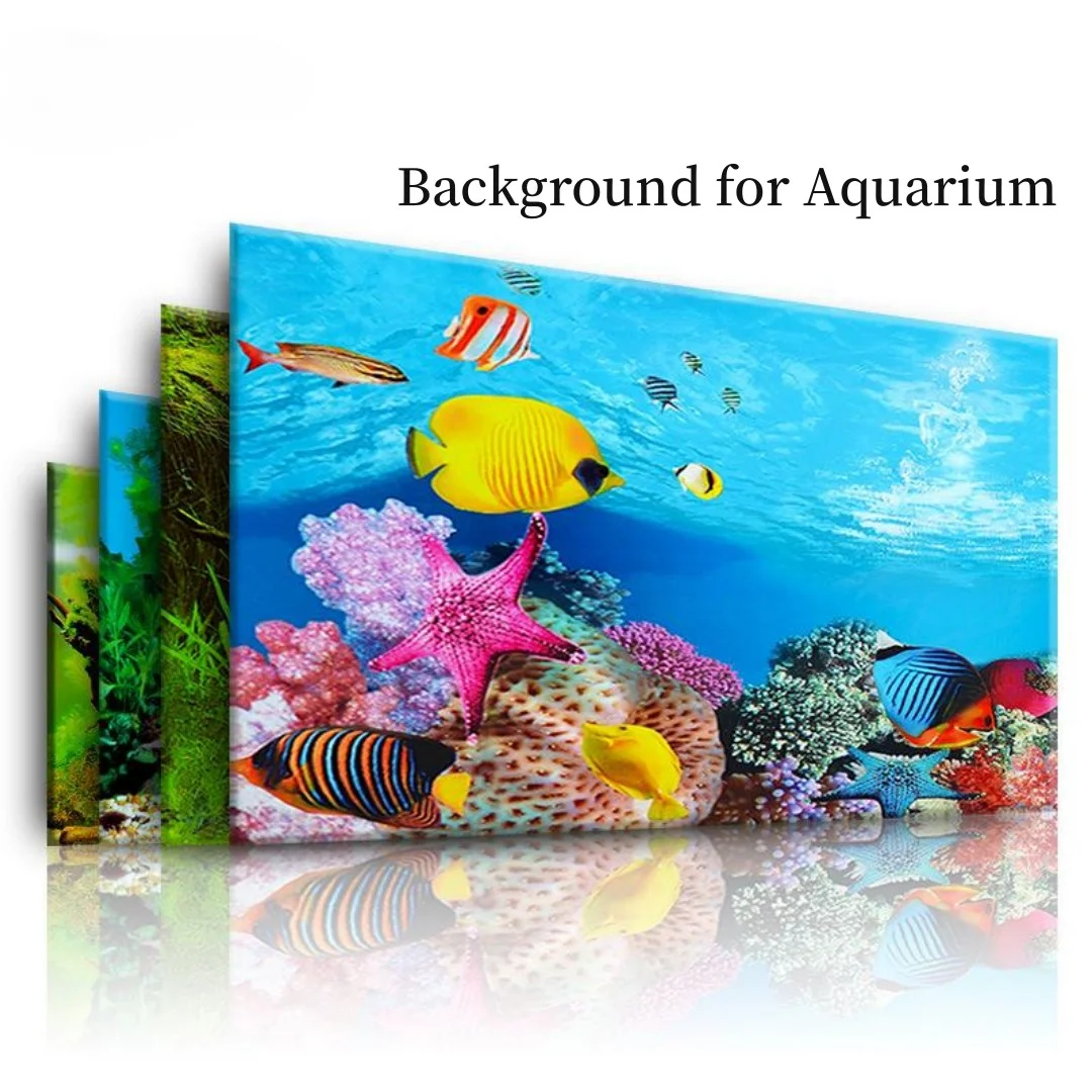 Background Aquarium 3D Sticker - Marine Aquarium For Sale ulasan dan harga