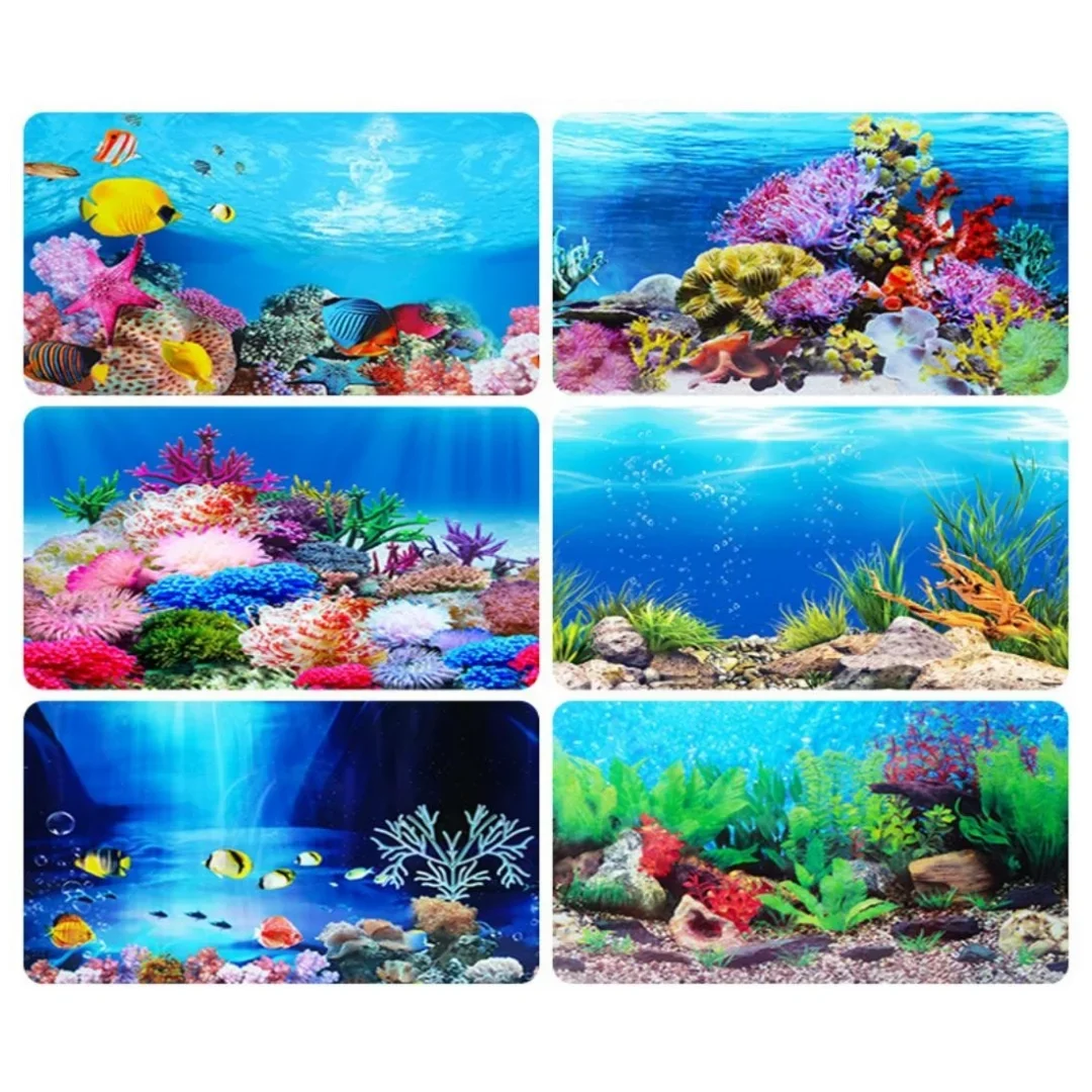 Background Aquarium 3D Sticker - Marine Aquarium For Sale ulasan dan harga