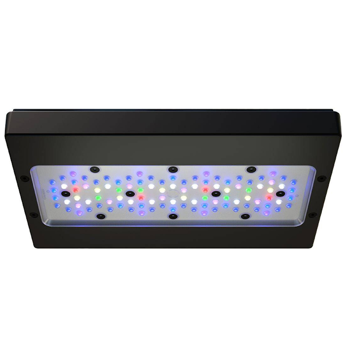 Applicable to A8 PRO III Max a - Aquarium Blue Marine Reef ulasan dan harga