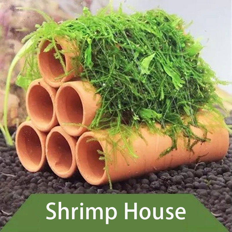 Clay Aquarium Decoration Fish  - Marine Aquarium For Sale ulasan dan harga