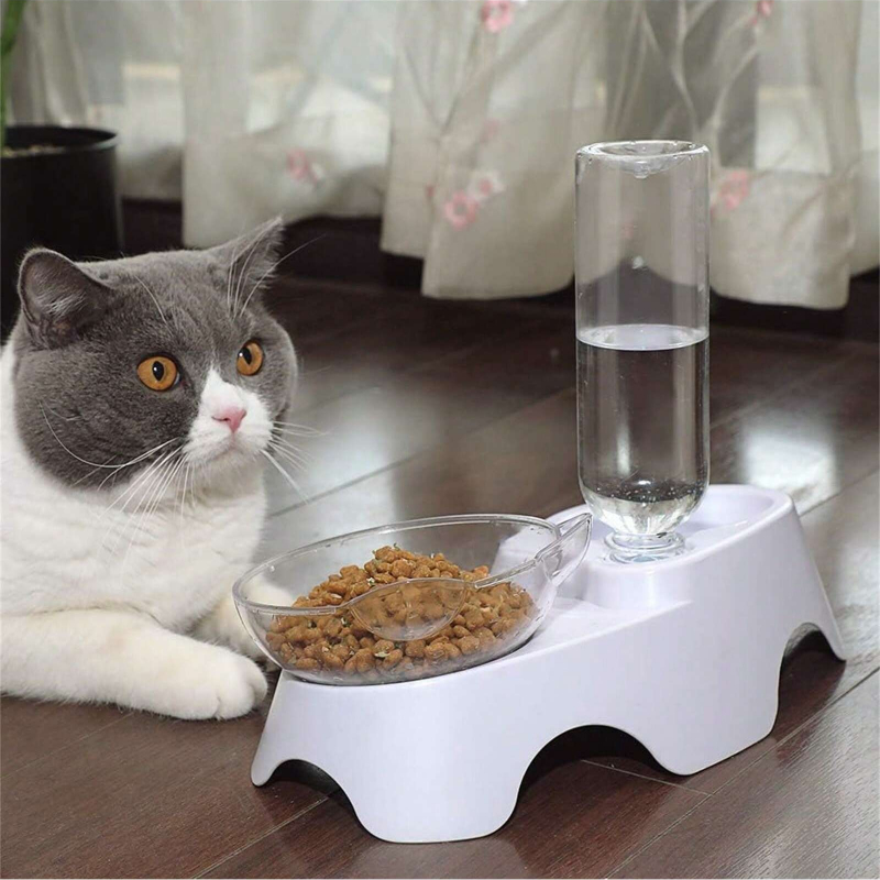1PC Double Dog Cat Bowls Pets  - Royal Canin Food Medium ulasan dan harga