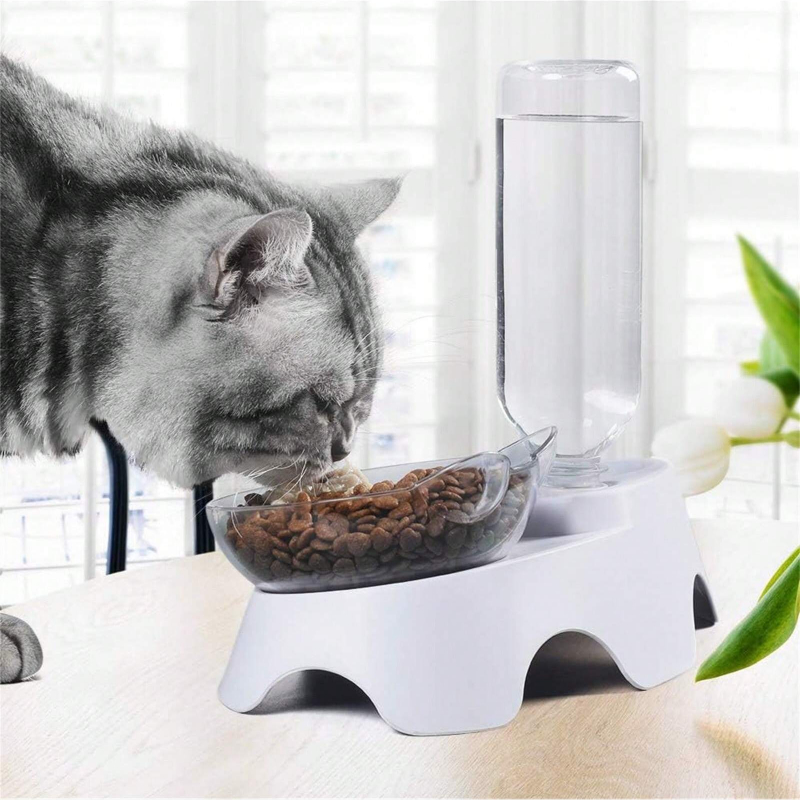 1PC Double Dog Cat Bowls Pets  - Royal Canin Food Medium ulasan dan harga
