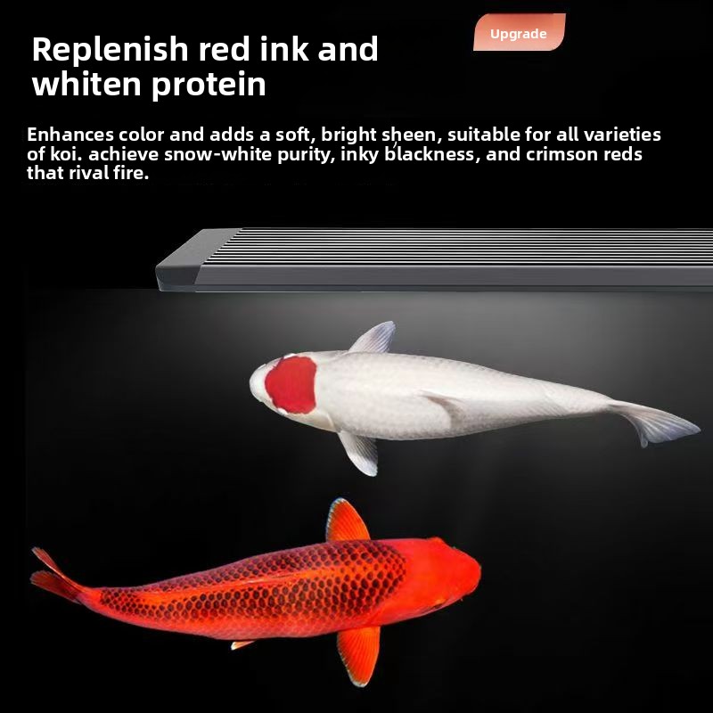LED Aquarium Light for Fish Ta - Marine Aquarium In Clearwater ulasan dan harga