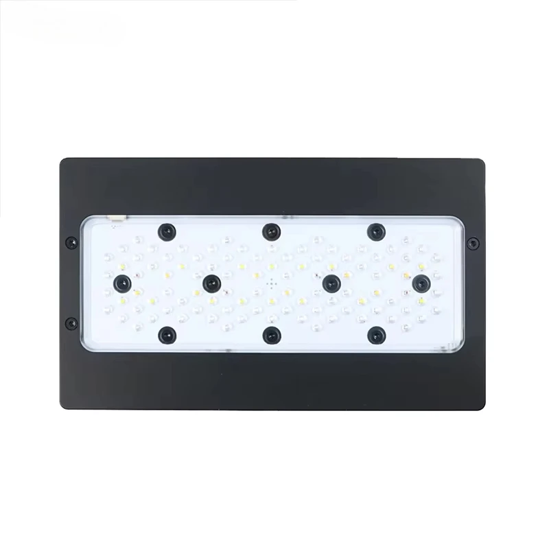 A8Pro Max/Blue 240W CREE Light - Aquarium Blue Marine Reef ulasan dan harga