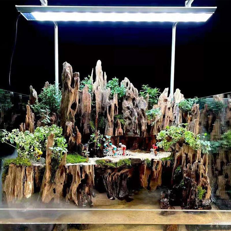 △ Shrimp Wood Aquarium Decor,  - Marine Aquarium For Sale ulasan dan harga