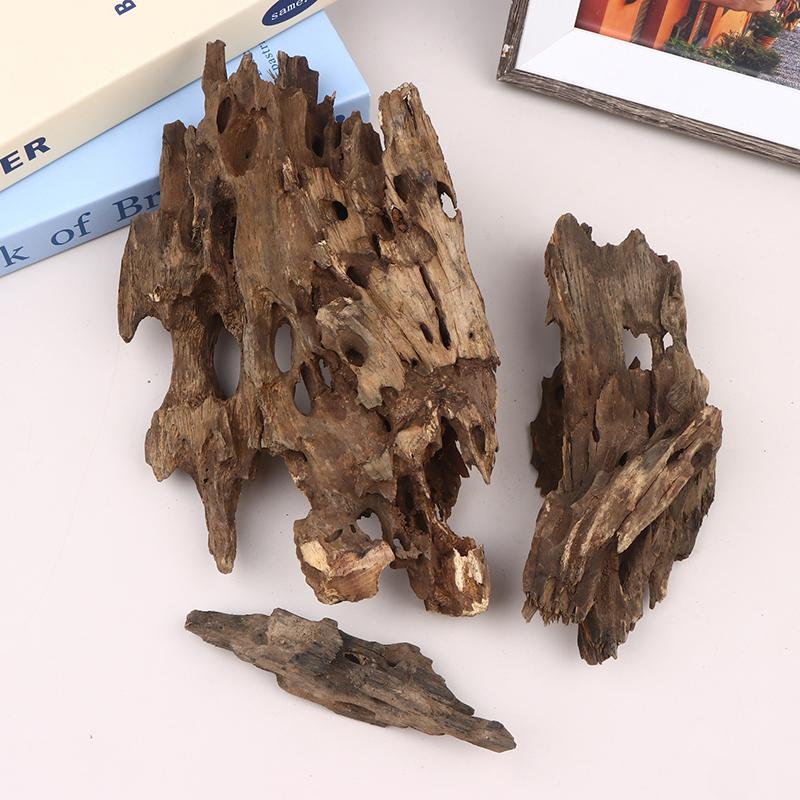 △ Shrimp Wood Aquarium Decor,  - Marine Aquarium For Sale ulasan dan harga