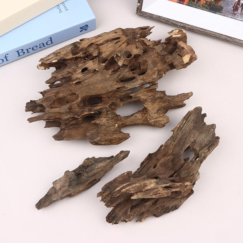 △ Shrimp Wood Aquarium Decor,  - Marine Aquarium For Sale ulasan dan harga